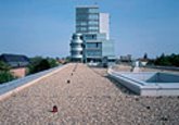 Sika Roofing Kiesdach